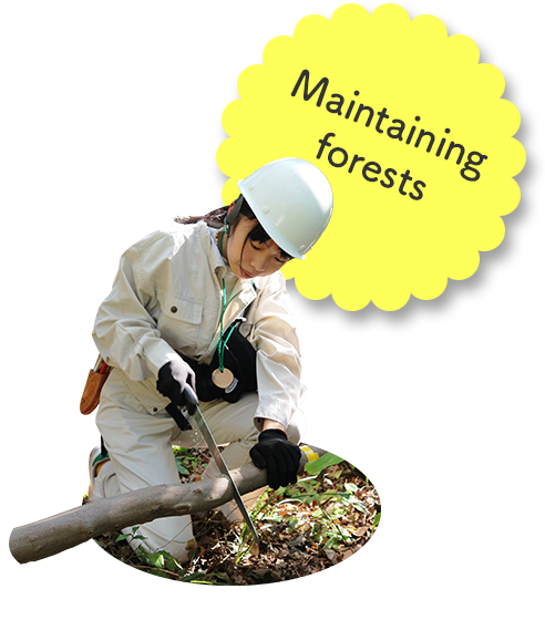 Maintaining forests