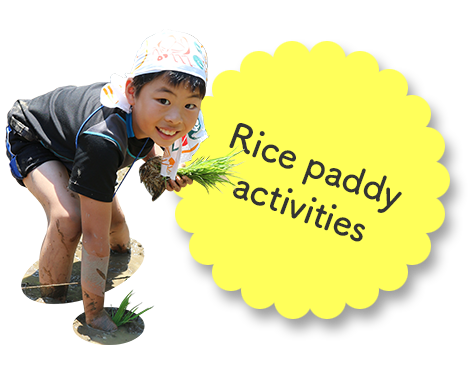 Rice paddy activities