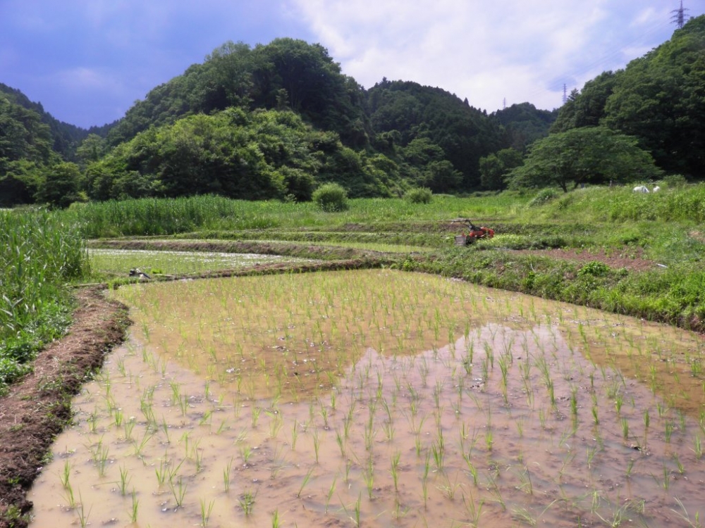 市 天気 あきる野 東京都あきる野市の天気｜マピオン天気予報