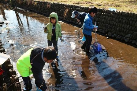 川の生き物