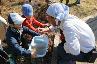 川の生き物観察