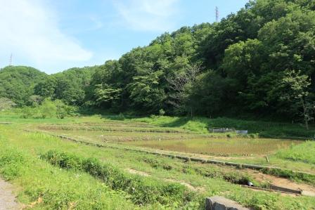 谷戸の風景