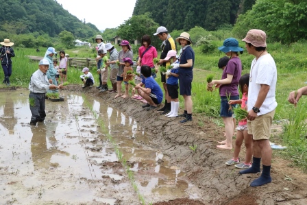 田植え