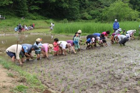 田植え