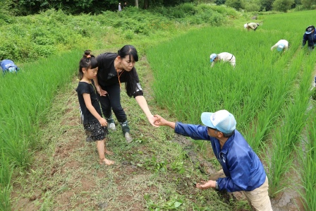 タニシの判別