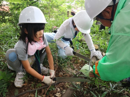 子剪定①