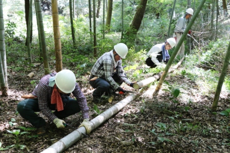 竹の枝払い