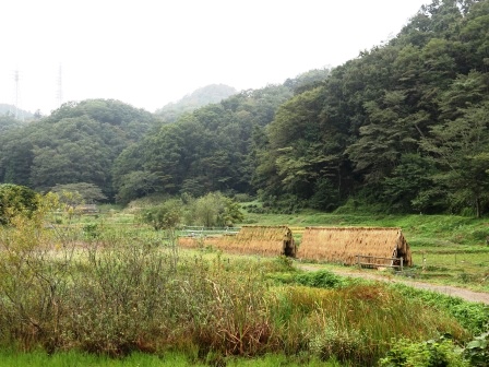 はざかけのある風景