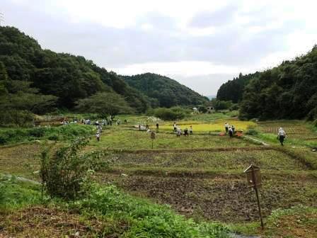 田んぼ