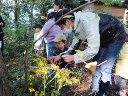 ナチュラル万華鏡の材料探し