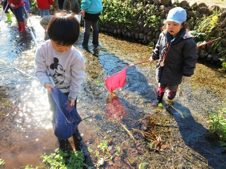 生き物観察