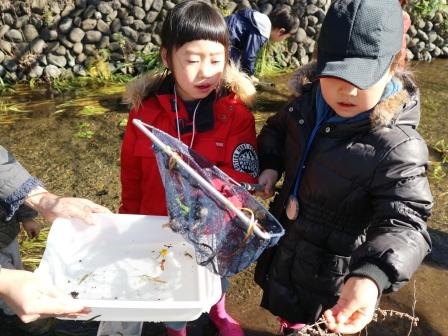 生き物観察