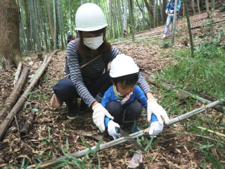 竹伐採
