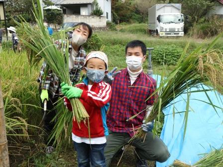 稲刈り　田んぼ　東京　ボランティア　八王子滝山