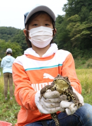 巨大カエル