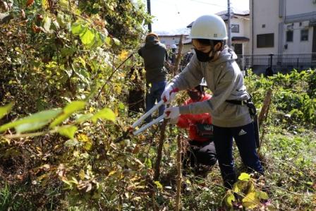 緑地保全活動