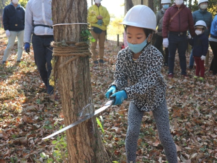 樹木伐採