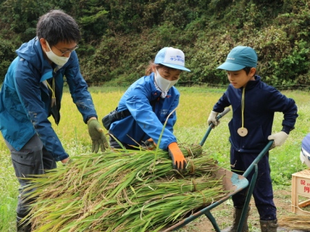 はざかけ