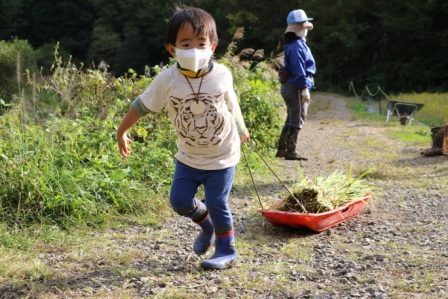 はざかけ