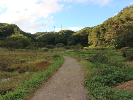 横沢入里山保全地域