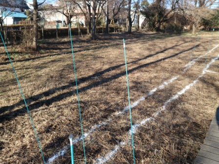 水路づくり