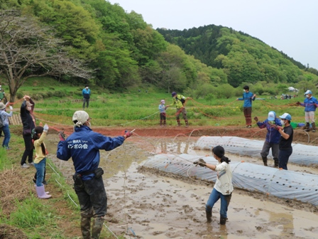 田んぼの種まき