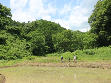 里山