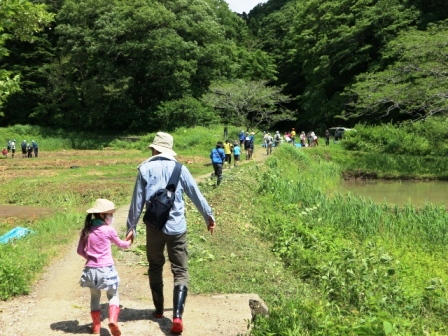 里山