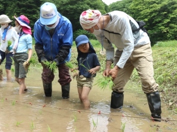 田植え