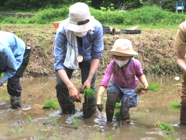 田植え