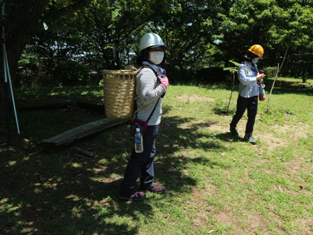 しょいこ　梅もぎ