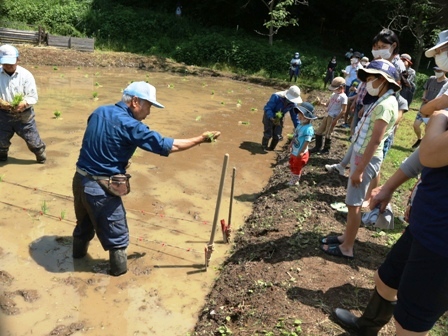 田植え　指導