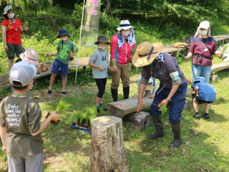 田植え　コツ