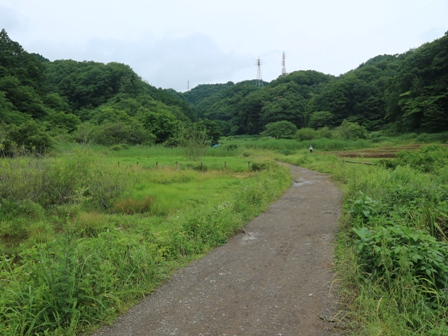 横沢入　谷戸　保全地域