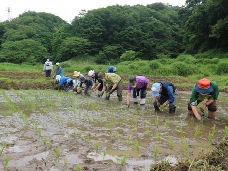 田植　理事長