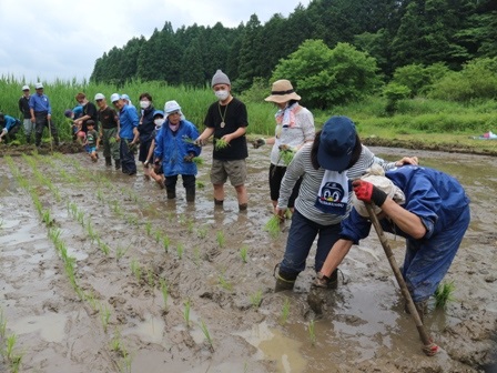 田植　長靴　歩きづらい