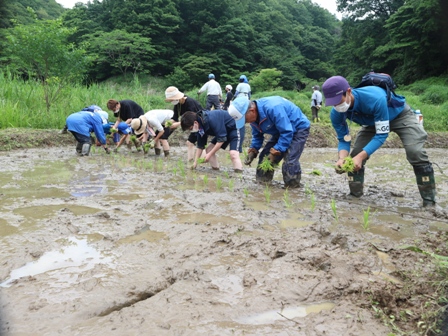 田植え　保全活動