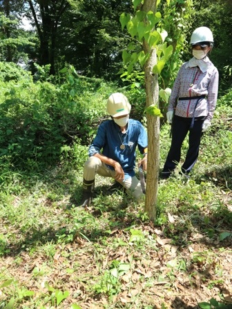 保全活動　間伐