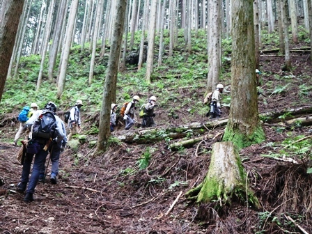 登山