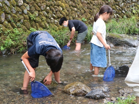 生きもの観察