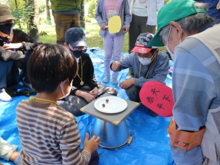 どんぐりコマ対決