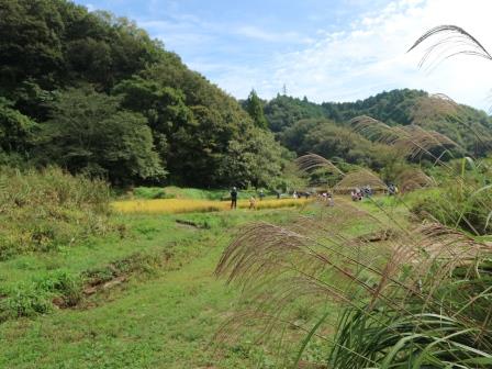 横沢入里山保全地域