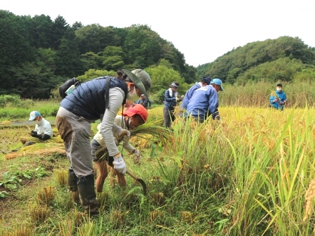 田んぼ