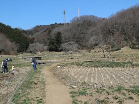 横沢入