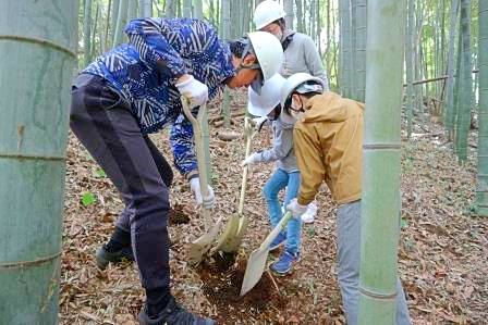 たけのこ堀り