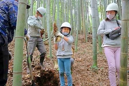 タケノコ堀り