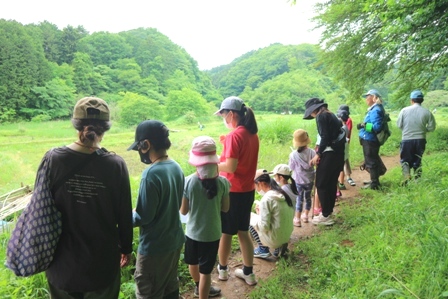 自然観察　横沢入　スケッチ