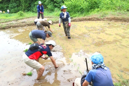 横沢入　田植え