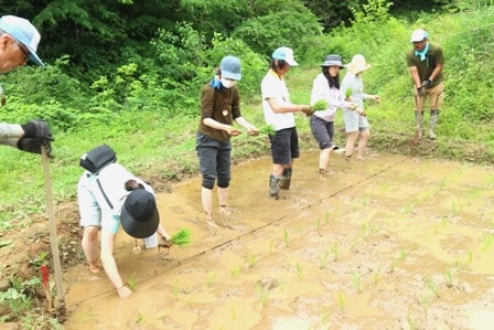 横沢入　田植え