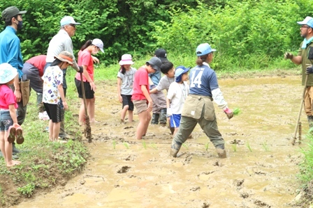 横沢入　田植え